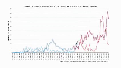Covid-19 : Décès Avant et Après la Vaccination de Masse