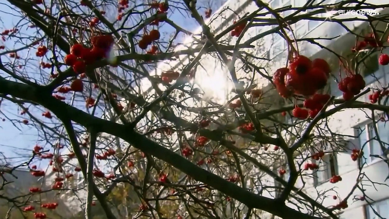 'Bin nicht geimpt und bereue es' - Täglich weiterhin über 1.000 Tote durch Covid-19 in Russland