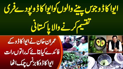 Avocado Juice Peene Walon Ko Free Avocado Plant Dene Wala Pakistani - Raton Raat Business Barh Gia