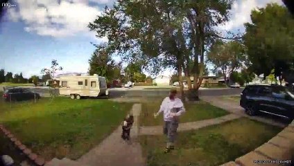 Misstep Startles Daughter