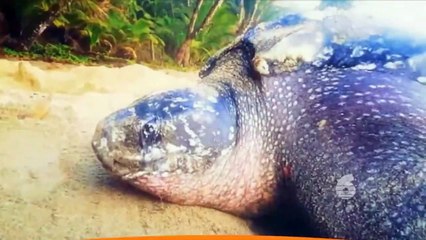 02: Headlines with Fazeer: 30 July, 2021