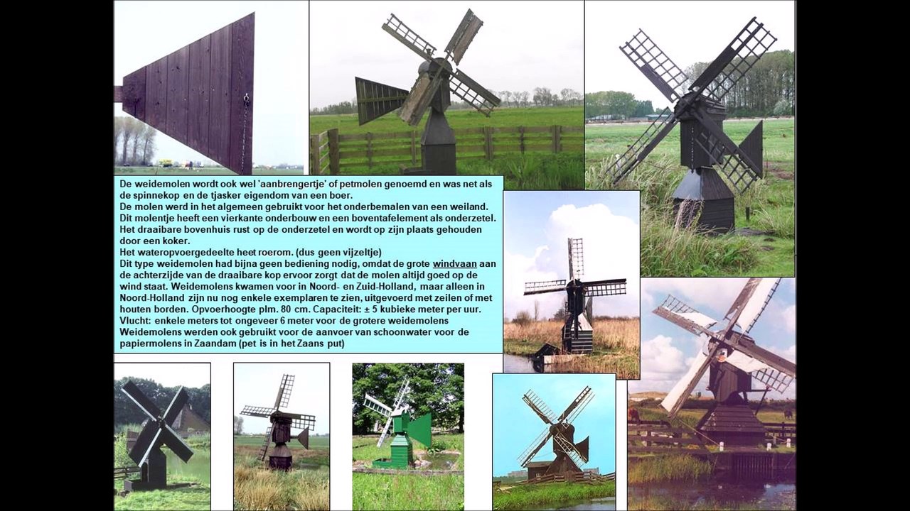 INFO WEIDEMOLEN