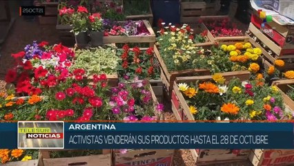 Pequeños productores argentinos realizan verdurazo con precios más accesibles