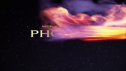 Netrum & Halvorsen - Phoenix