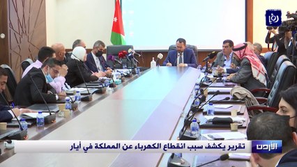 هل للطائر الكبير علاقة.. تقرير يكشف سبب انقطاع الكهرباء في الأردن
