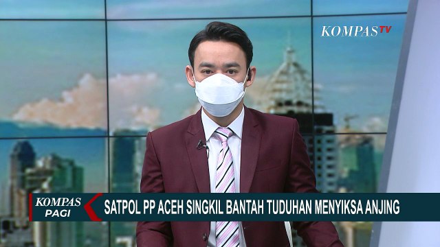 Satpol PP Aceh Singkil Bantah Siksa Anjing Canon di Pulau Banyak