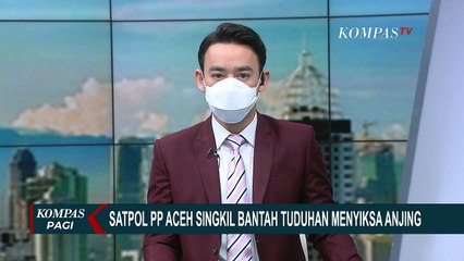 Satpol PP Aceh Singkil Bantah Siksa Anjing Canon di Pulau Banyak