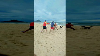 Guy Saving Gator Uses it as a Shield in Fight