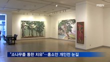 [화제의 전시] "소나무를 통한 치유"…홍소안 개인전 31일까지 전시