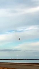 SpaceX Starship SN10 Launch & Successful Landing || Employee Reaction