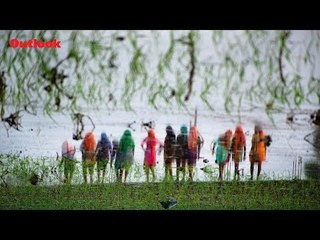 To Paddy Or Not To Paddy