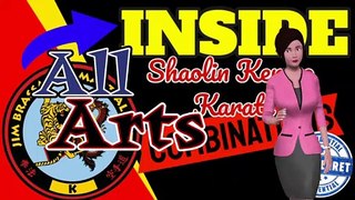 INSIDE Shaolin Kempo Karate Combinations/DM's - Jim Brassard
