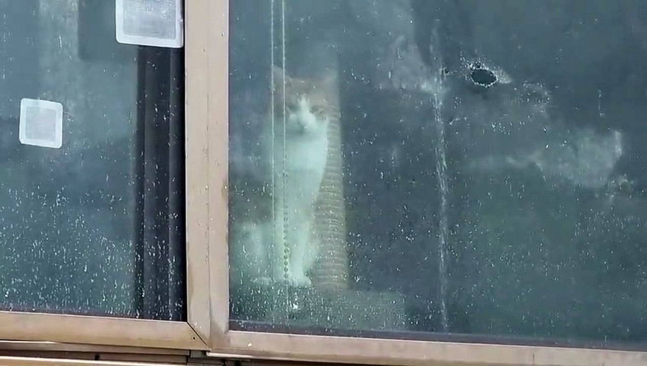 雨の日外を見る