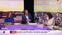 Les histoires de Charles Magnien : Des légumes en carton au Royaume-Uni - 26/10