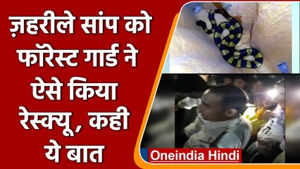 Cobra Banded Krait सांप का रेस्क्यू, वन रक्षक ने लोगों को किया जागरुक | वनइंडिया हिंदी