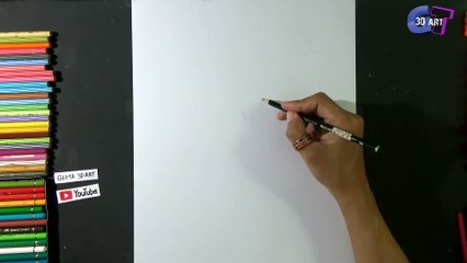 Optical illusion drawing kelly