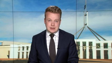 Government releases path to carbon-neutral by 2050
