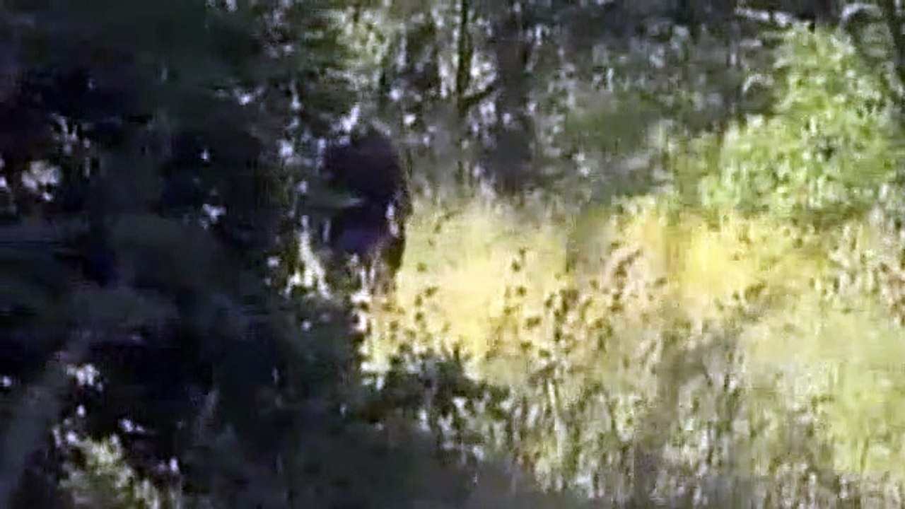 Stargate Atlantis S01E08 - Underground