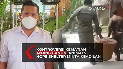 Kontroversi Kematian Anjing Canon, Animals Hope Shelter Minta Keadilan