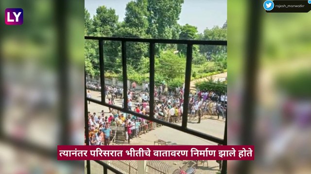 Leopard Captured in Wardha, Maharashtra: वर्ध्यात रुग्णालयाच्या आवारात घुसला बिबट्या; तब्बल 6 तासानंतर पकडण्यात आले यश