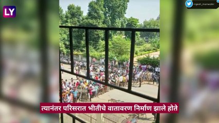 Leopard Captured in Wardha, Maharashtra: वर्ध्यात रुग्णालयाच्या आवारात घुसला बिबट्या; तब्बल 6 तासानंतर पकडण्यात आले यश