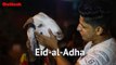 Ahead Of Eid-al-Adha, Traders Sell Sacrificial Goats At Ghazipur Mandi, Jama Masjid In Delhi