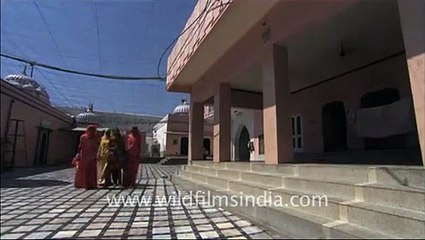 Karni Temple, Rajasthan