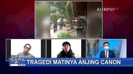 Buntut Panjang Matinya Anjing Canon di Pulau Banyak Aceh