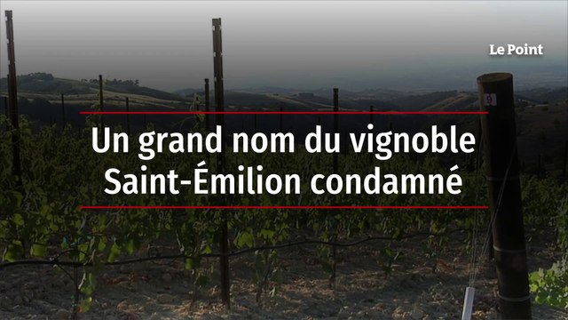 Un grand nom du vignoble Saint-Émilion condamné