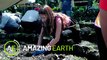 Amazing Earth: What are the benefits of urban gardening?