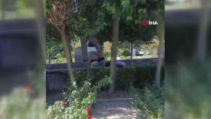 Son dakika haberleri... Şehitlere büyük saygısızlık