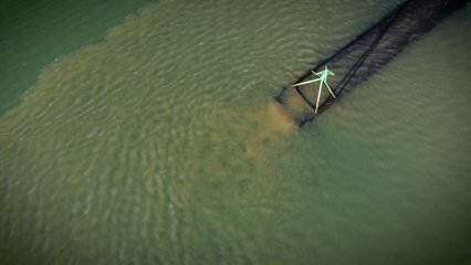 Video shows raw sewage being pumped into harbour in Hampshire for 49 hours