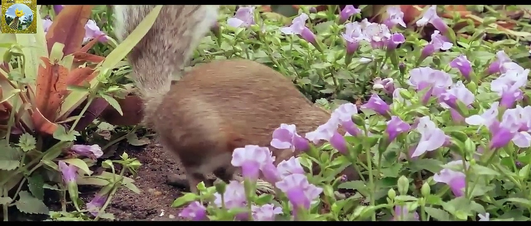Taeyang - WHITE NIGHT BELGESELİ BÖLÜM 7 "Sonsuz Gün Işığı" [Türkçe Altyazılı]