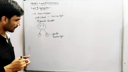 Mendel's Law of Inheritance Law of Segregation