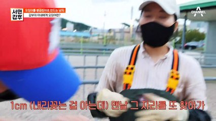 오징어 덕장에서 일한 지 벌써 1년? 오징어 갑부 아내에게 오징어란?