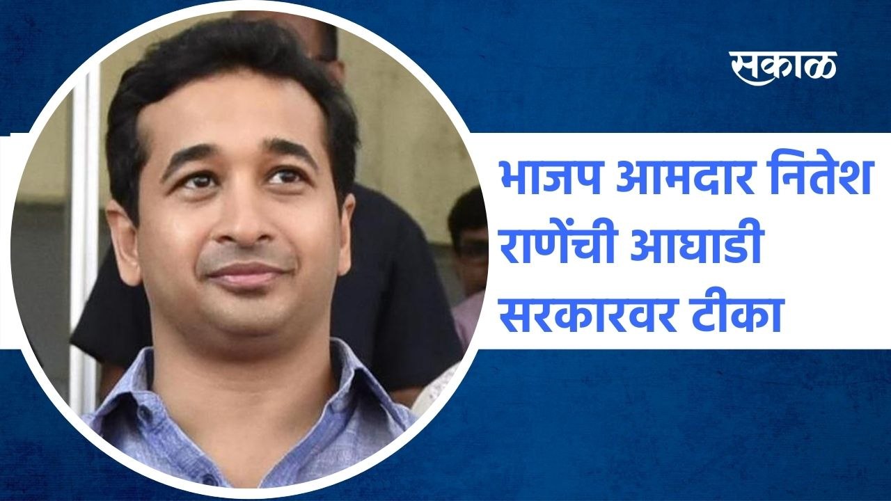 Sindhudurg: भाजप आमदार नितेश राणेंची आघाडी सरकारवर टीका