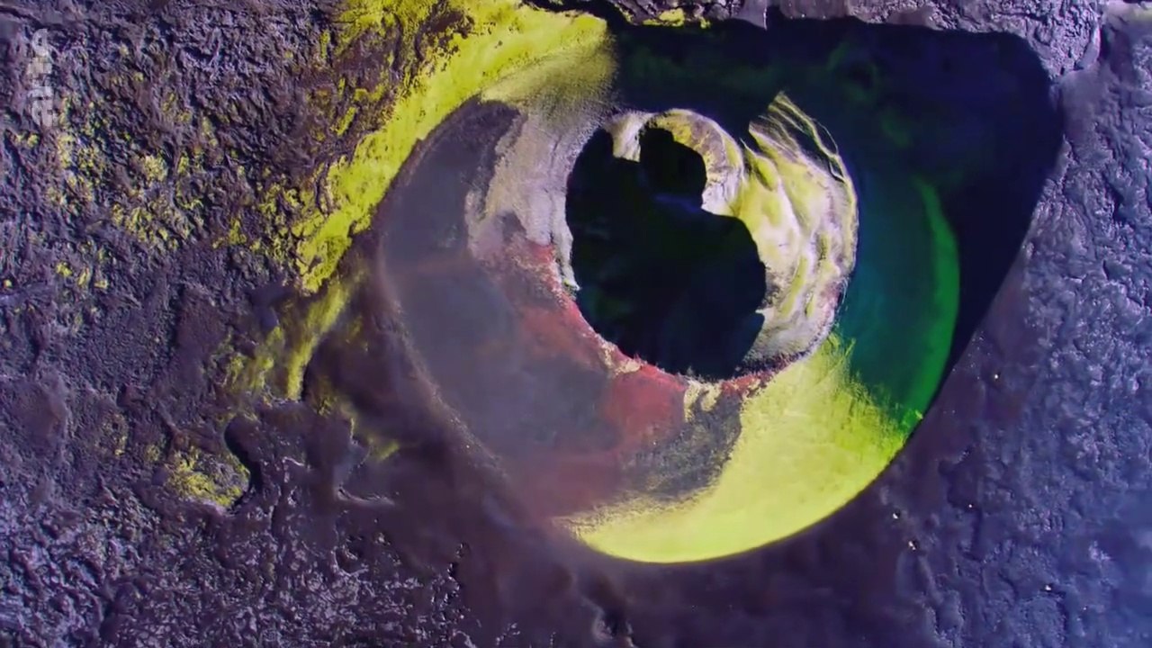 Islande, l’été des renards polaires