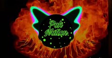 PAKNATION Born A Rockstar  [Copyright Free]BY NEFFEX