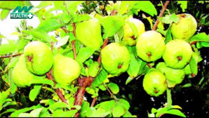 You will not know these benefits of guava, you will be surprised to kn