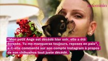 Charlène de Monaco : en deuil, elle se confie sur Instagram