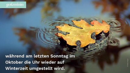 Zeitumstellung 2021: Werden die Uhren vor- oder zurückgestellt?