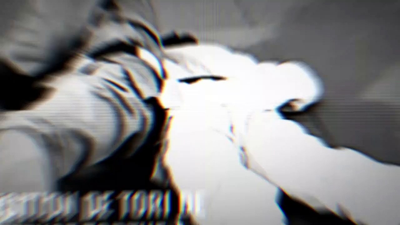 TORI TRANSITION / Hiroshi Nakamura