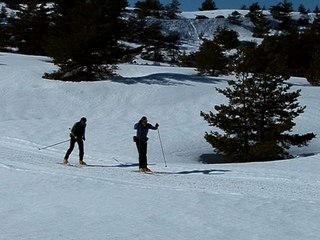 Ski de fond à Gréolières
