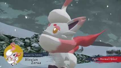 Formas Hisui de Zorua y Zoroark en Leyendas Pokémon: Acercus