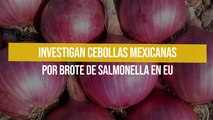 Investigan cebollas mexicanas por brote de salmonella en EU