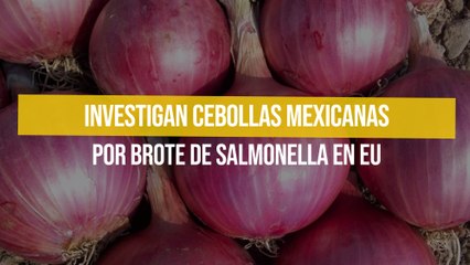 Investigan cebollas mexicanas por brote de salmonella en EU