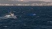 Sakız Adası yakınlarında bot battı: 4 ölü