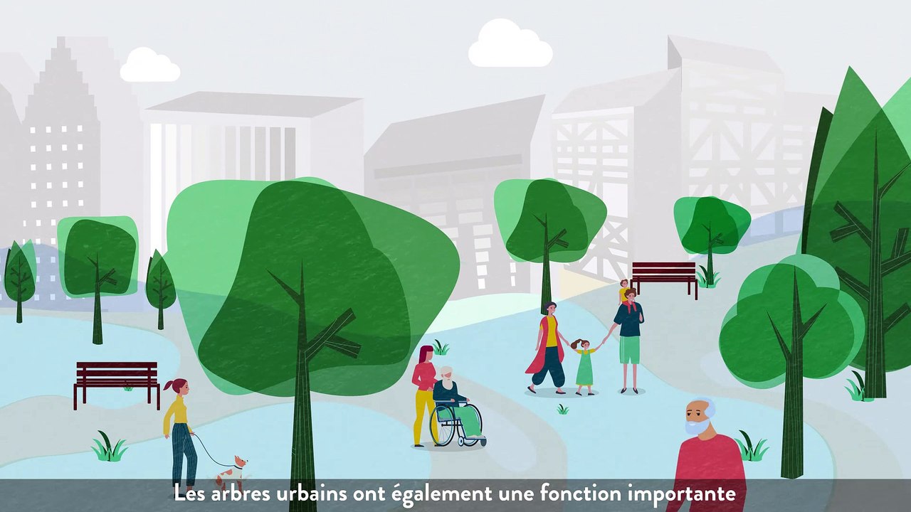 Les pouvoirs cachés des arbres