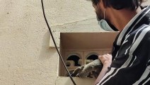 Man Rescues Cat with Caught Head