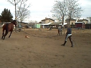 Longe Karina 25 février 2008